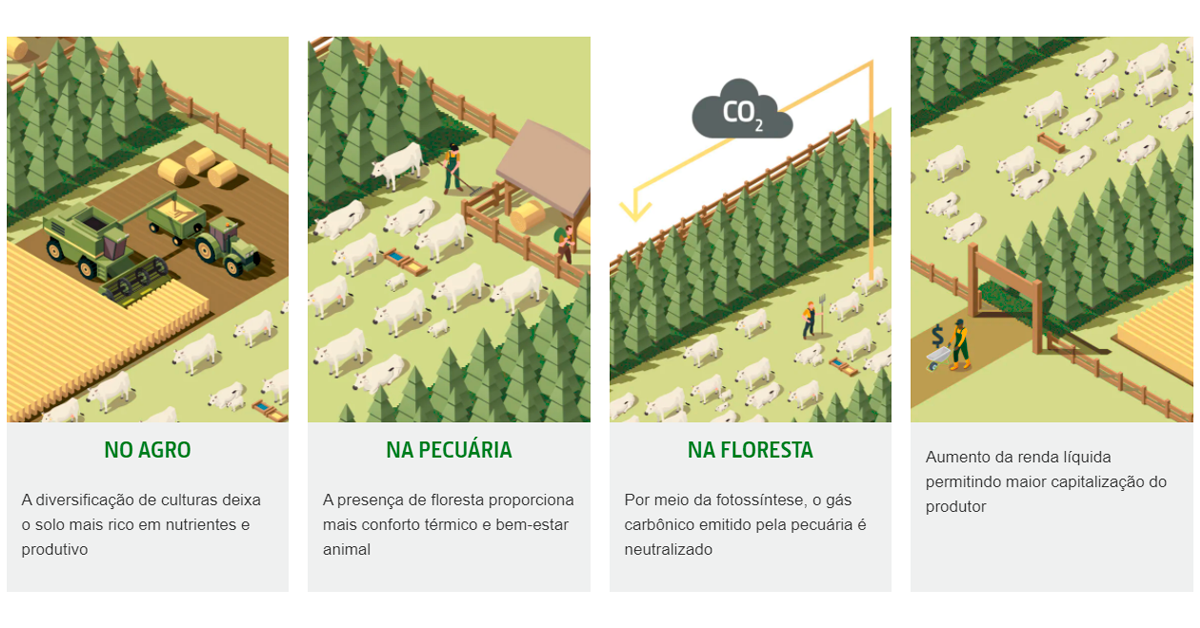 Integra O Lavoura Pecu Ria Floresta Uma Alternativa Para Uma