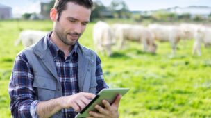 Controle financeiro da fazenda de gado de corte envolve inventário em dias
